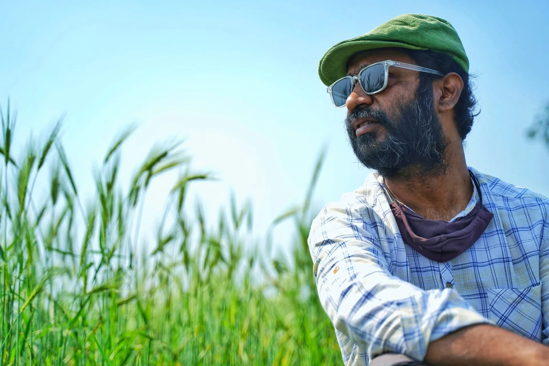 ইলিয়াস কমল